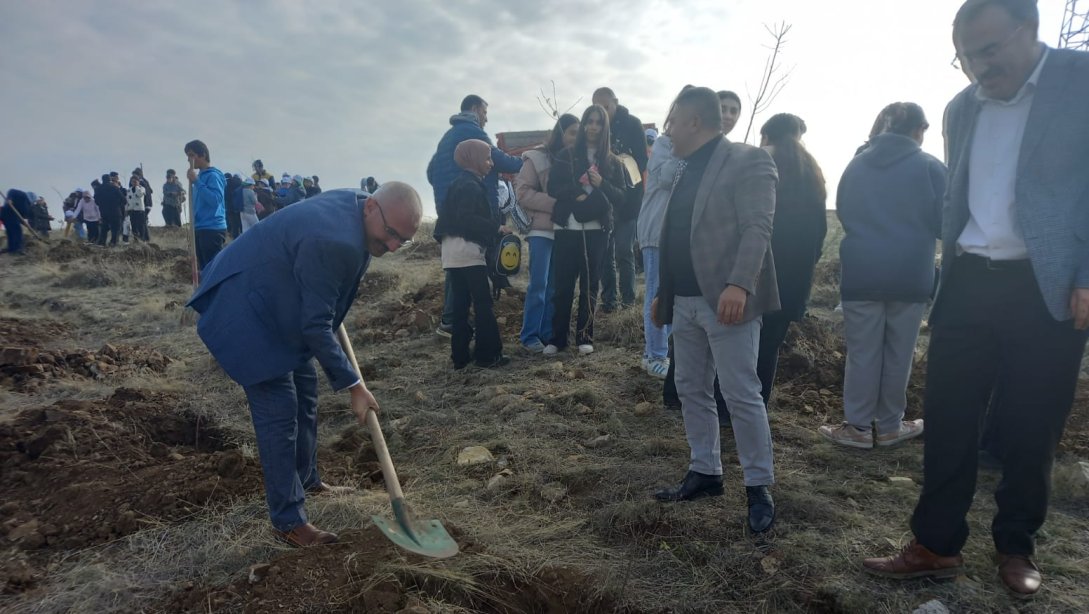 Milli Ağaçlandırma Günü